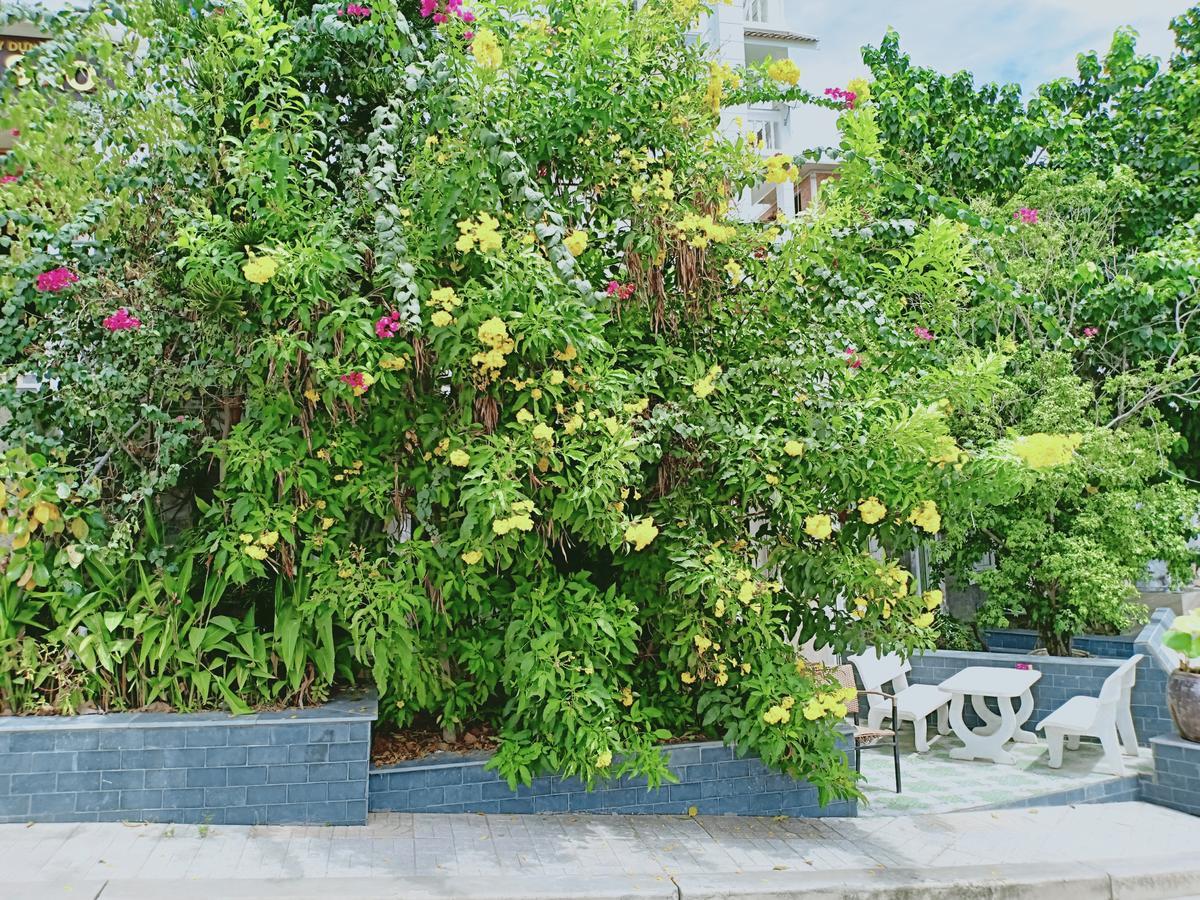 Nha Trang Star Villa Hotel Eksteriør billede